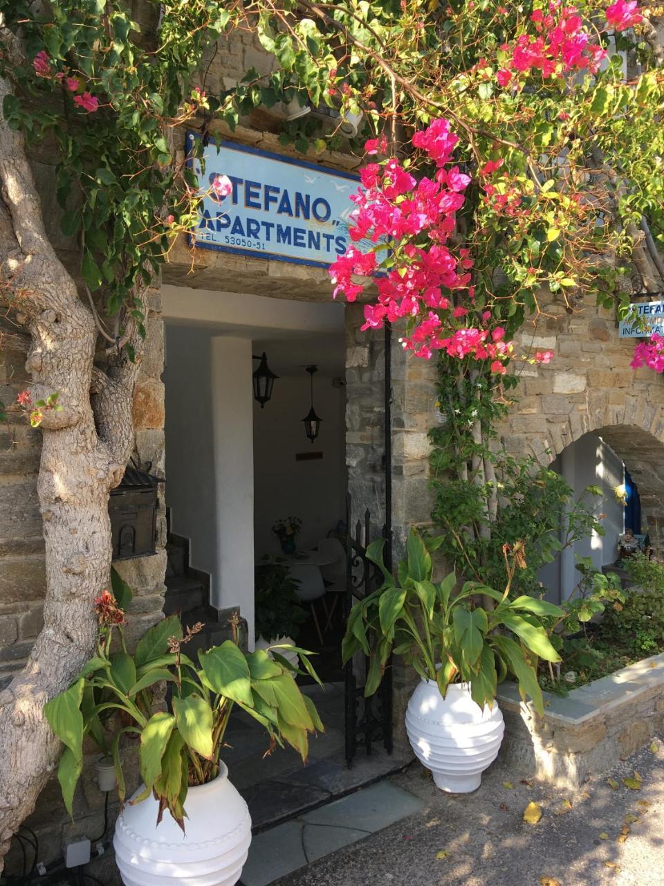 Stefano Apartments Νάουσα Εξωτερικό φωτογραφία